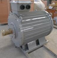 50kw 300rpm low rpm permanent magnet alternator/turbine genenrator
